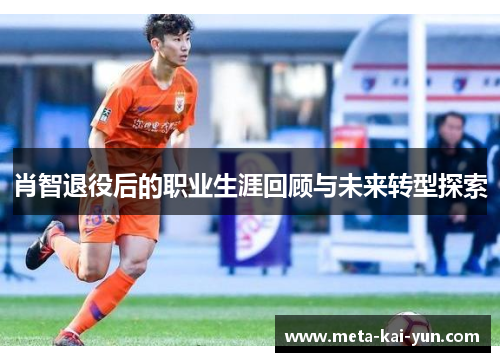 肖智退役后的职业生涯回顾与未来转型探索